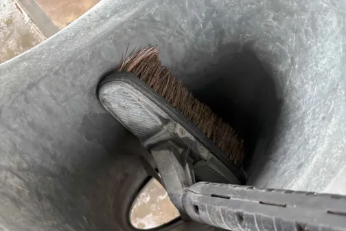 Putuplasta slotā ievietota birste automazgātuvē.