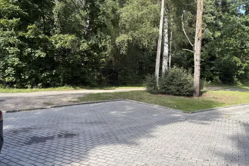 Bruģēts laukums pie meža, saulains laiks.