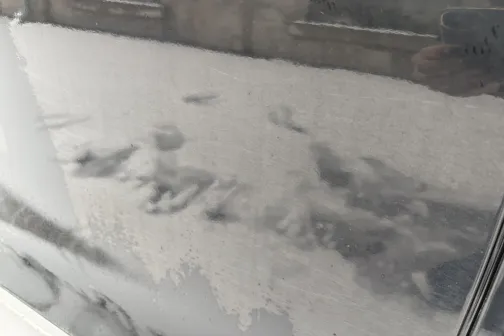 Auto sānskats ar putekļiem.